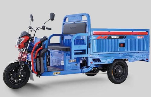 2款重型電動(dòng)三輪車來了 做工扎實(shí)超耐用，大車廂能裝2000斤，人力三輪車組裝首選